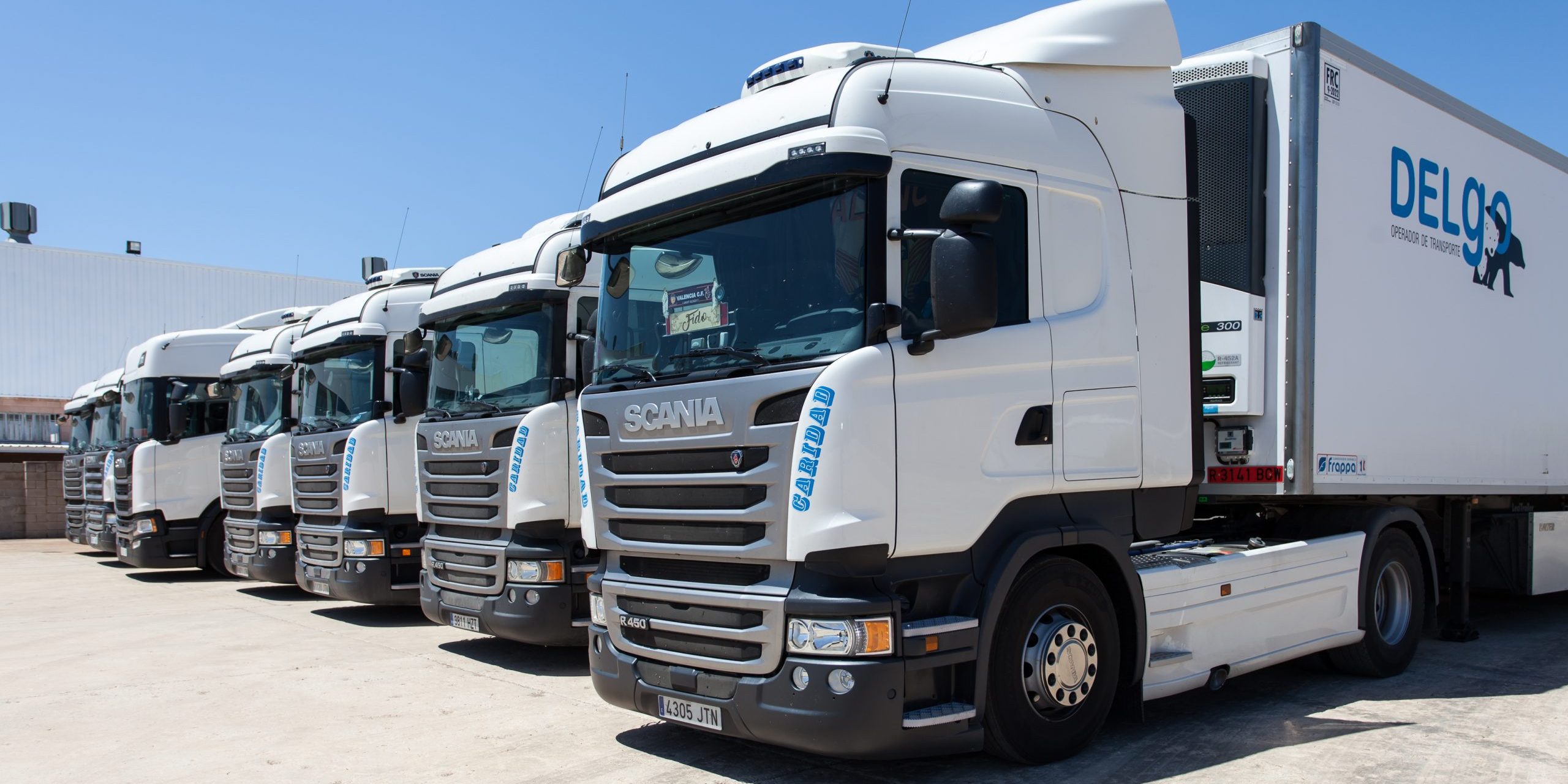 DELGO | Transporte Sostenible